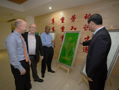 强强联手，构建多元化产学研合作，推动科技产业双丰收